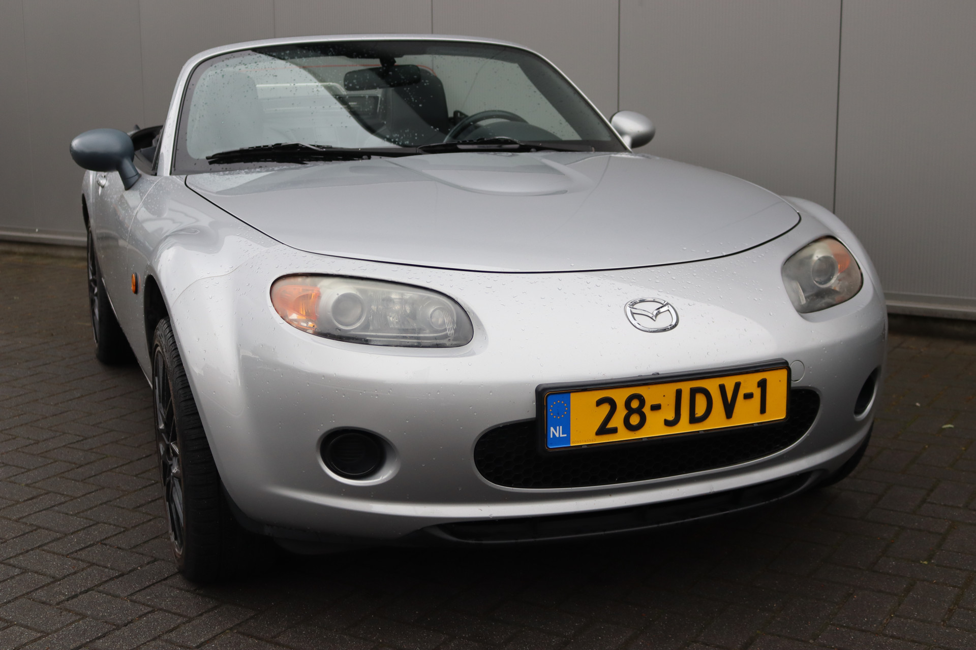 45399798-11.jpg