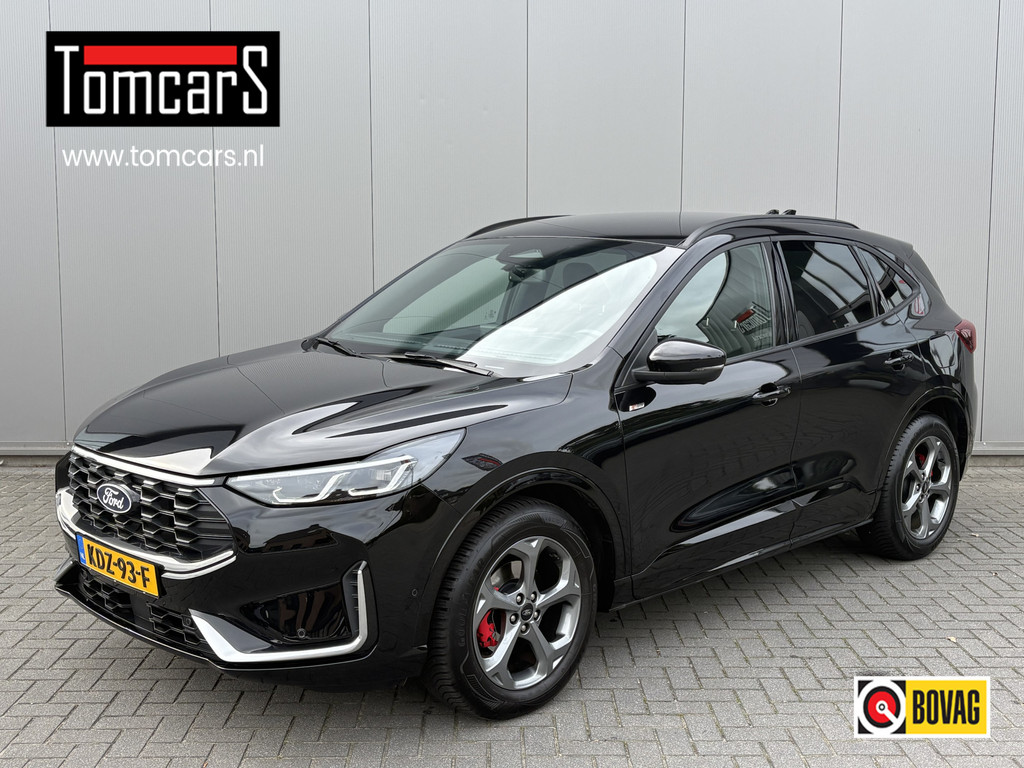 56055205-27.jpg