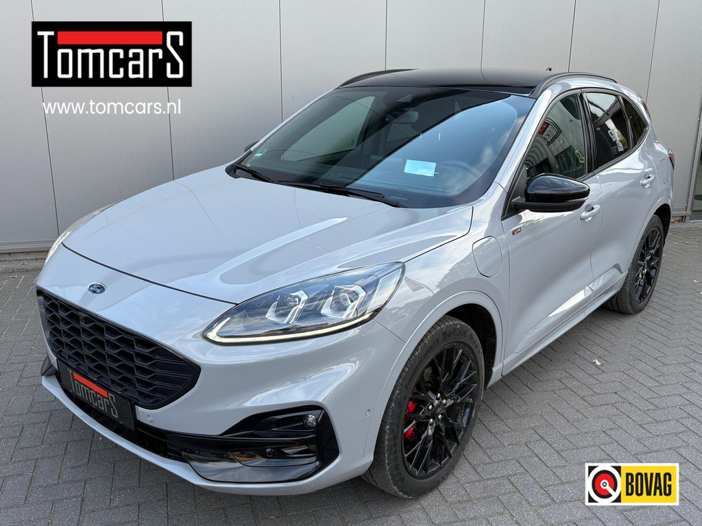 57297060